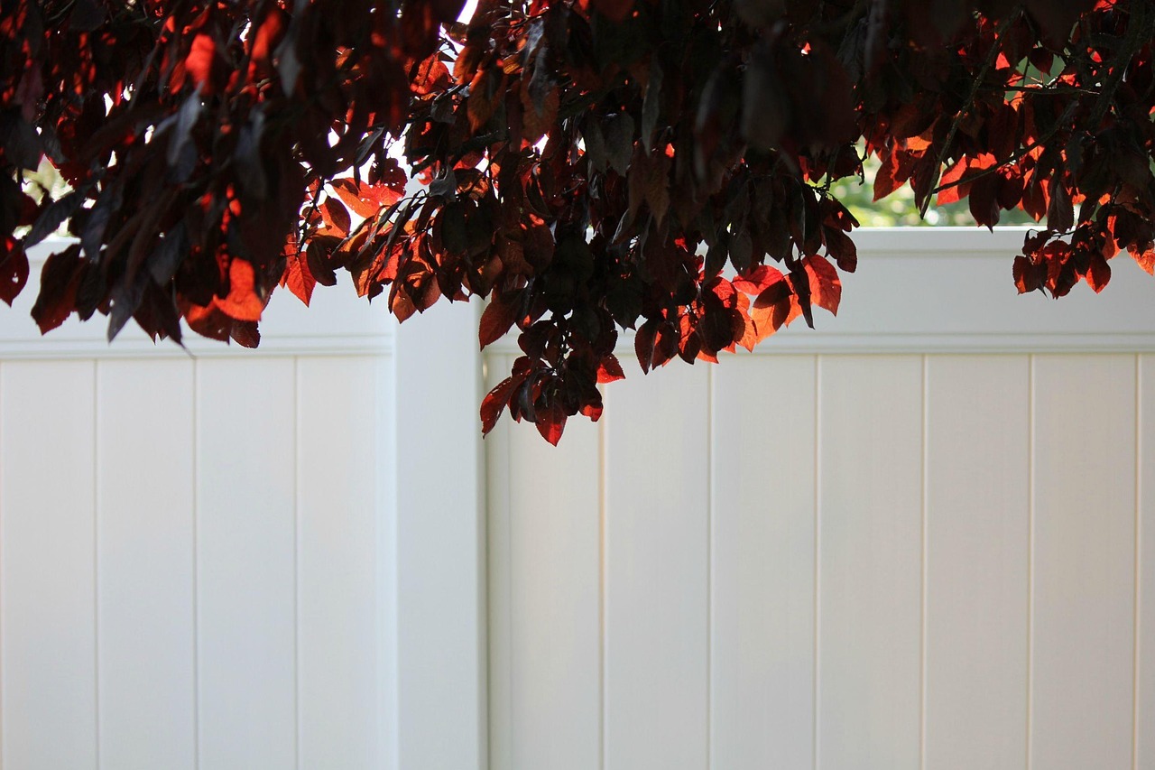 Vinyl PVC pool fence